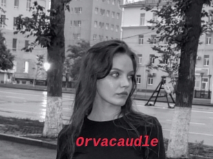 Orvacaudle