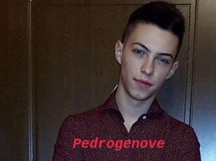 Pedrogenove