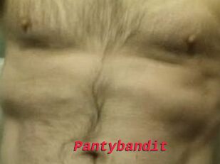 Pantybandit