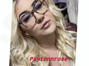 Paytonnrose