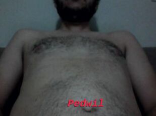 Pedwil