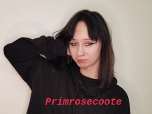 Primrosecoote