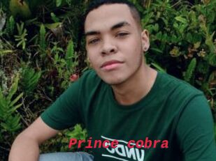 Prince_cobra