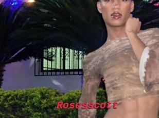 Rosesscott