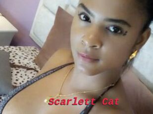 Scarlett_Cat