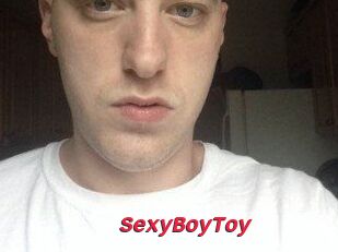 SexyBoyToy