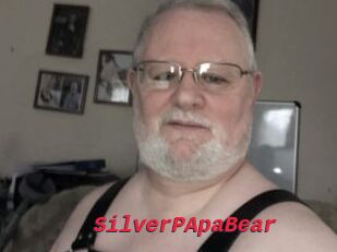 SilverPApaBear