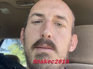 Snakec2018