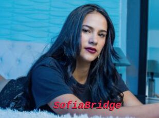 SofiaBridge