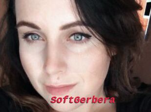 SoftGerbera