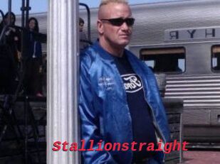 Stallionstraight