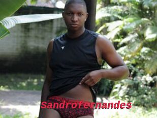 Sandrofernandes