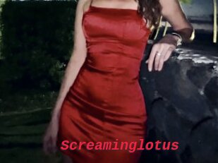 Screaminglotus