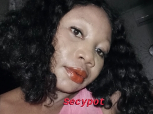 Secypot