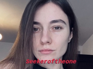 Seekeroftheone