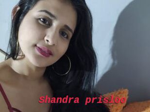 Shandra_prisloo