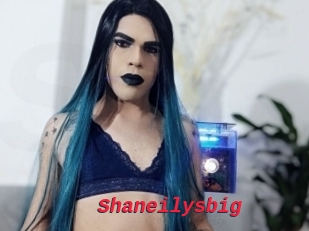 Shaneilysbig