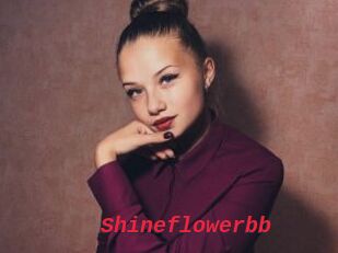 Shineflowerbb