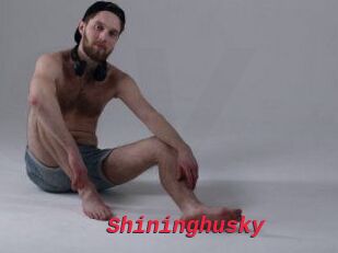 Shininghusky