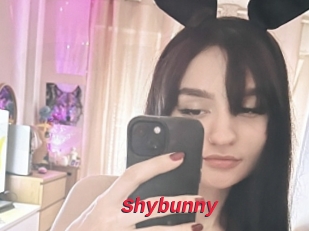 Shybunny