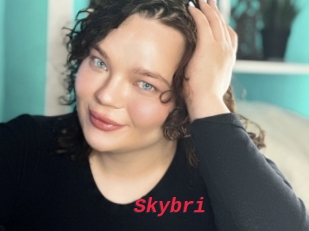 Skybri