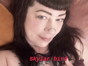 Skylar_bird