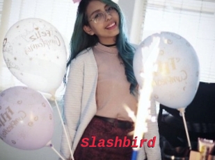 Slashbird