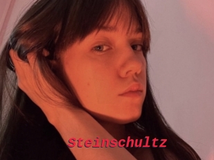 Steinschultz