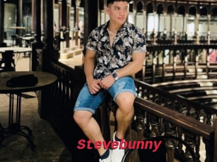 Stevebunny