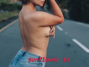 Sunflower_18