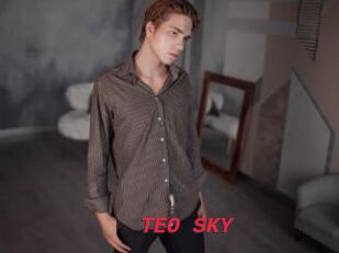 TEO_SKY