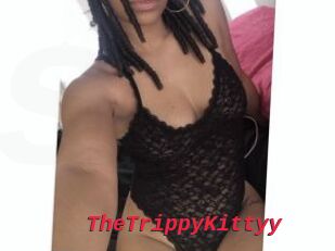 TheTrippyKittyy