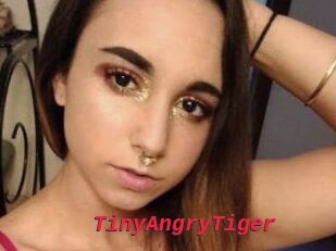 TinyAngryTiger