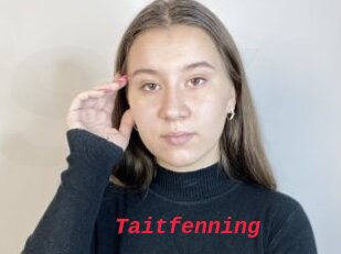 Taitfenning