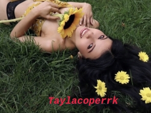 Taylacoperrk