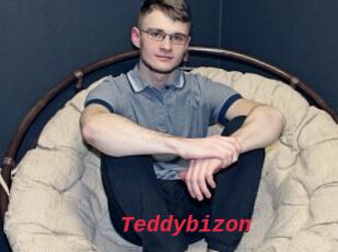 Teddybizon