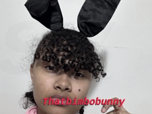 Thatbimbobunny