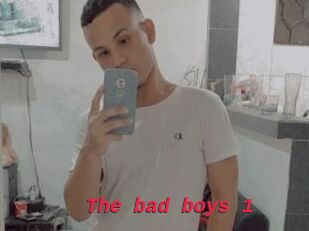 The_bad_boys_1