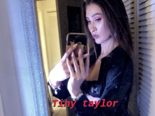 Tiny_taylor