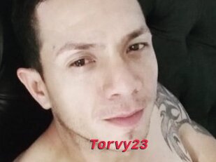 Torvy23