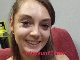 Trixysunflower