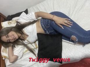 Twiggy_venus