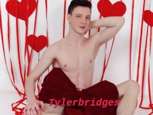 Tylerbridges