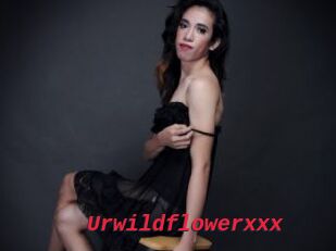 Urwildflowerxxx