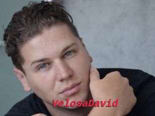 VelosaDavid