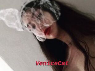 VeniceCat