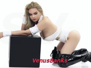 VenusBanks