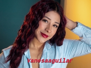 Vanesaaguilar