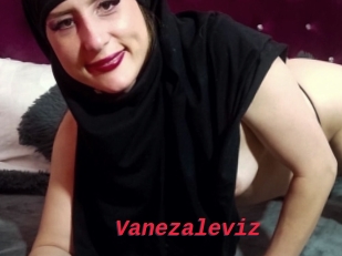 Vanezaleviz