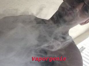 Vapor_genie